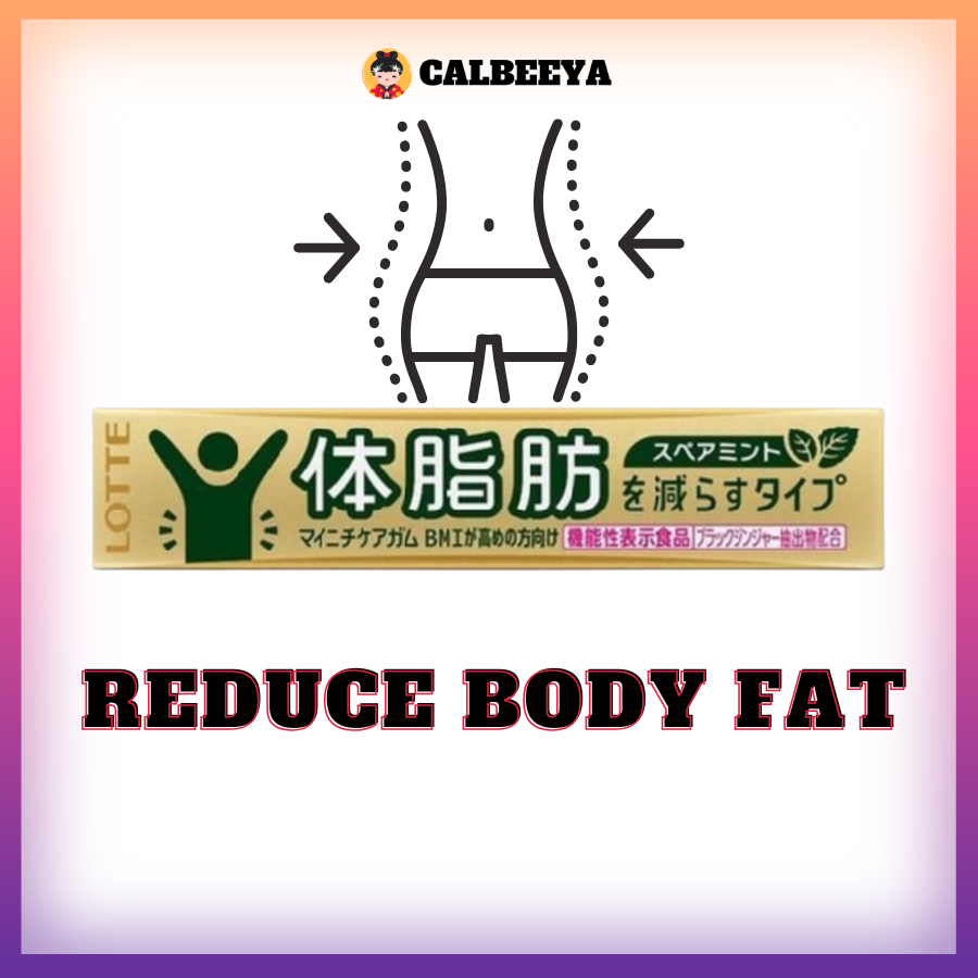 【NON-HALAL】LOTTE Mainichi-care Mint Gum (To reduce body fat) 21g