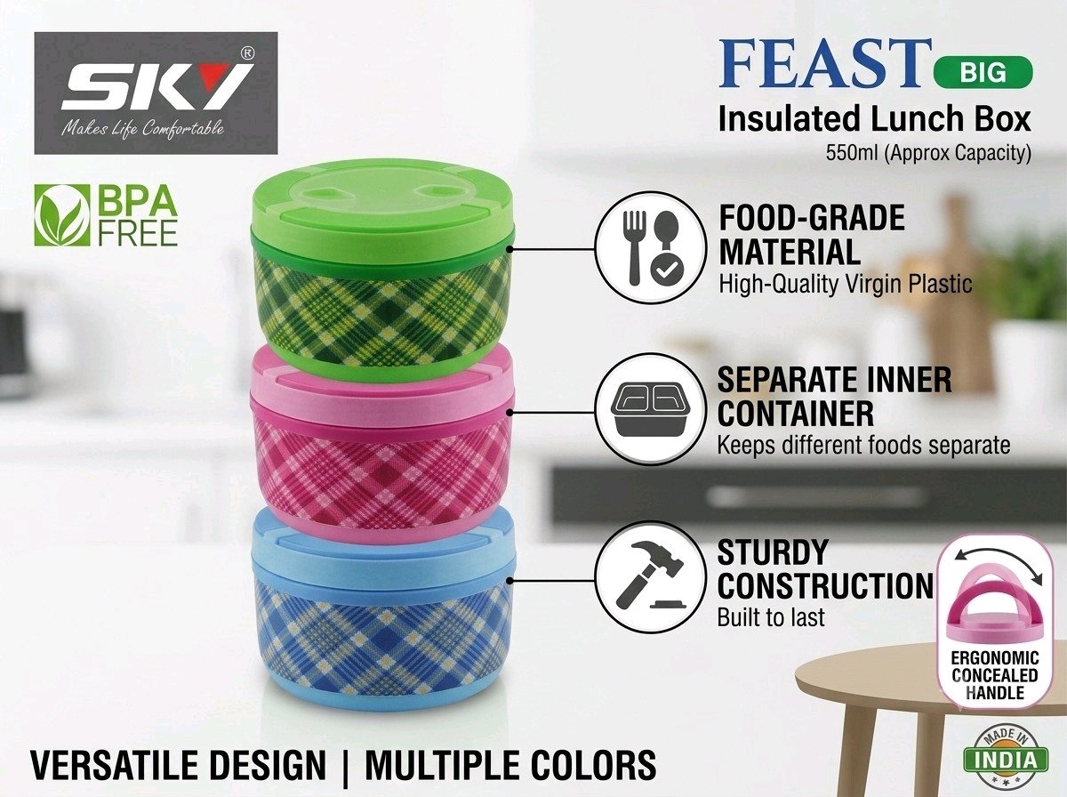Sky feast insulated Lunch box with small container- 550ml (Multicolour)