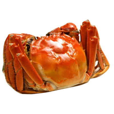 Hairy Crab (Male) ±175g x1 pcs