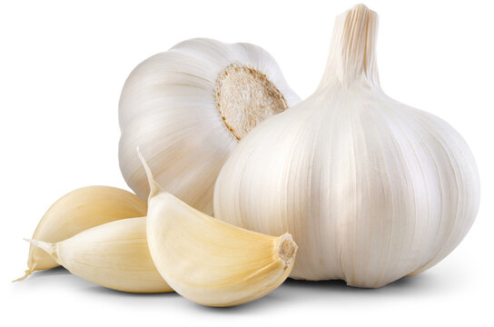 Premium Garlic  – Fresh Whole Garlic Bulbs | Aromatic Cooking Garlic
