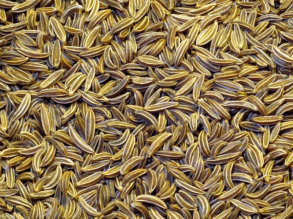 Jeeragam (சீரகம்) / cumin